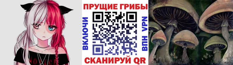 Галлюциногенные грибы Psilocybine cubensis  ОМГ ОМГ   Чехов 